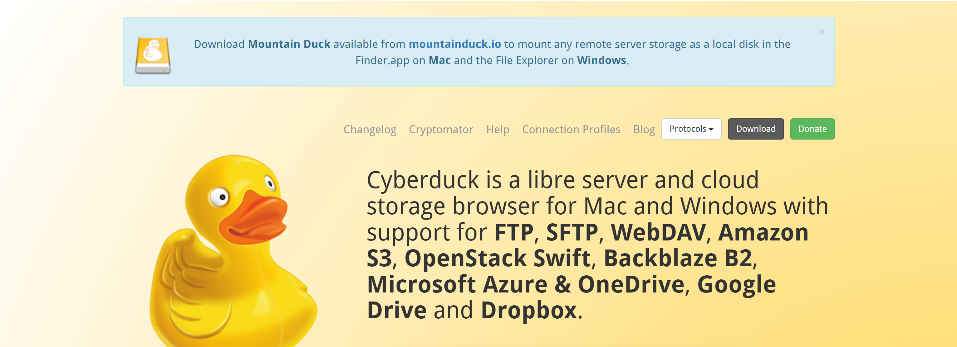 Cyber Duck